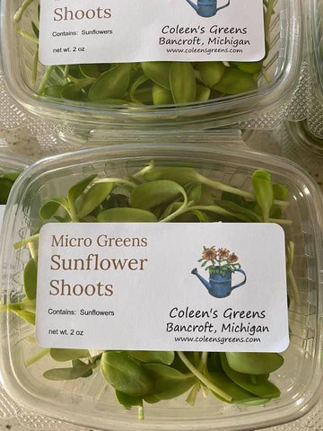 Micro Greens - Sun Flower shoots
