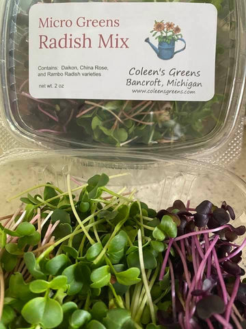 Micro Greens - Radish Mix