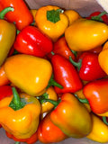 Pepper - Sweet mini bell peppers